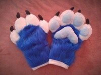 Raky Paws!