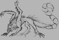 Creature Design