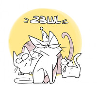 23