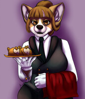 Corgi buttler [c]
