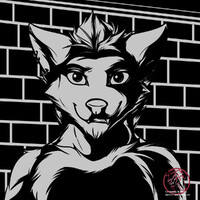 BW Experiment 2 [Naveed]