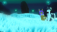 New Region