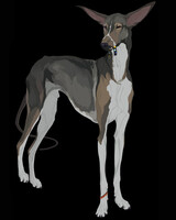 Diesel