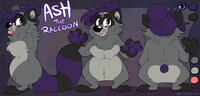 Ash Reference