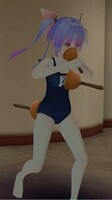 Plunger_33