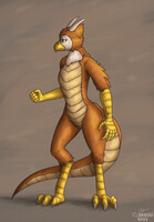 Commission - Bird Dragon