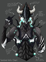 The Sentinel