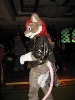 2004-2009 Further Confusion photo