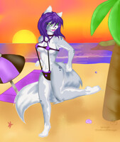 Long day at the beach