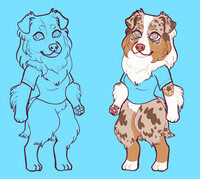 Australian shepherd Kemono Fursona