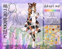 Aussie Shepherd Adopt - OPEN
