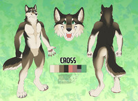 Ref- Cross