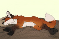 [Comm] Sleepy Fox