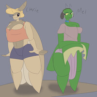 Herc Beetle Guys team