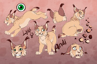 [C] Andi's reference