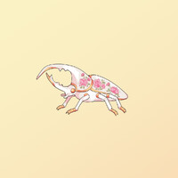 Tea beetle