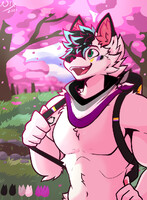C0de 2021 Pride