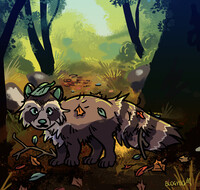 Racoon Forest [AF]