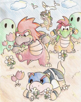Shade Koopa_Crushin Flowers
