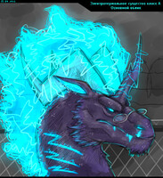 I passed by on the wires