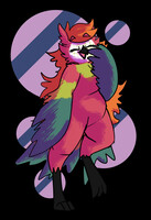 here's Pitaya!