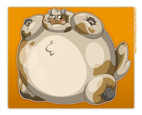 Goat Bloat