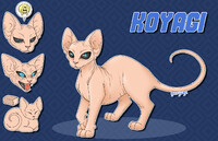 Koyagi Reference Sheet
