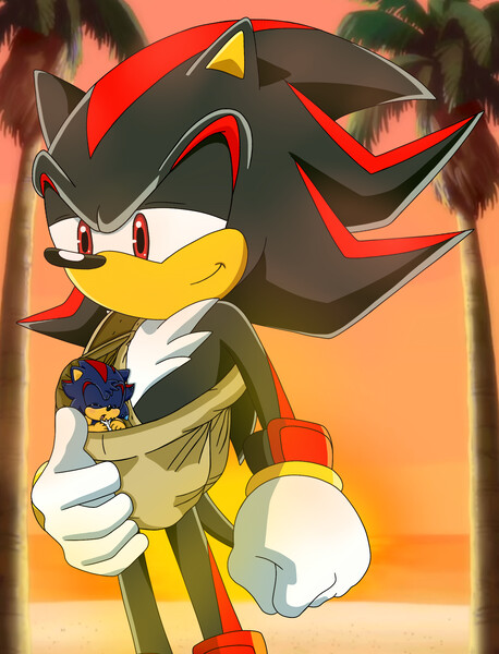 sonic and sky( request from RedX-Shadow) by hot_sonic - Fanart Central