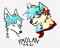 water doges