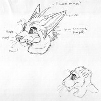fursuit head sketch with fur