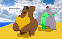 Hippo at the beach