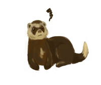 Drawing Challenge: DOOK DOOK