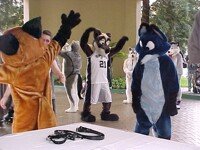 2004-2009 Further Confusion photo