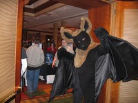 2004-2009 Further Confusion photo