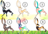 Rabbits For Sale (closed)