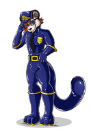 Evening, Officer