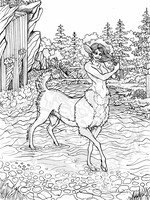 Secrets of the Forest Coloring Page