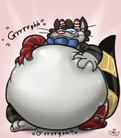 comm. - rounder cat [4/4]