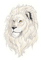Lion drawing