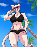 Beach Cat
