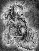 fluffy dog 3