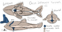Orca sleepsack design