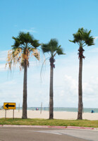 Palm beach [Spam 06]