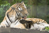 I'm tasty :=)