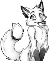 Fox sketch experiment
