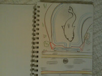 There's a shark in my journal