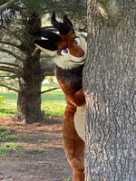 Peekaboo!