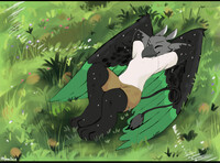 Commission BetaAquilae