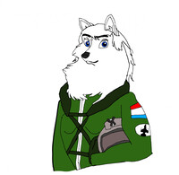 Diamond faith as the fighter pilot (1/3).