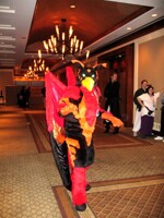 2004-2009 Further Confusion photo